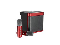 Juego de altavoces Bluetooth de Karaoke de lujo con micrófono inalámbrico y altavoz para el hogar