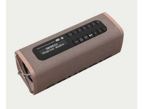 Radio GRUNDIG Gbt Band Portátil Analógica Y Digital Marrón