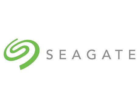 Unidad de disco duro Seagate St10000Vn000