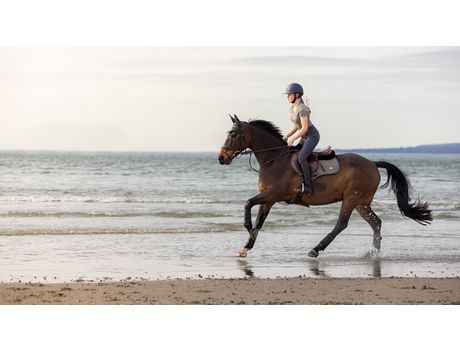 Mantilla para caballos LEMIEUX Contact Square