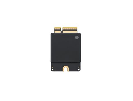 Disco SSD APPLE