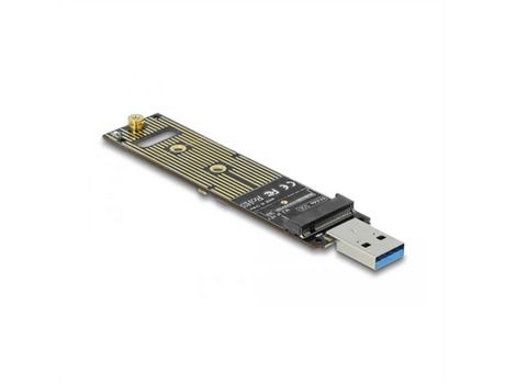 Adaptador para Disco Duro DELOCK 64069 Verde USB USB 3.1 PCIe M.2