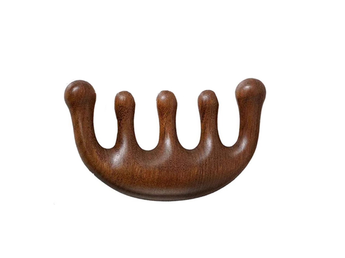 Peine de masaje relajante de cinco dientes, herramienta de masaje corporal de plástico MDUG (Estilo 1)