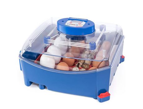 Incubadora automática Huevos Aves Lumia 16 Medidas 39x34x24cm SUINGA