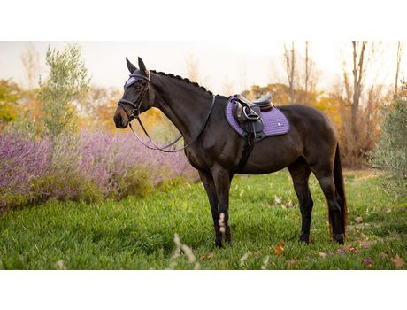 Mantilla para caballos LEMIEUX Contact Square