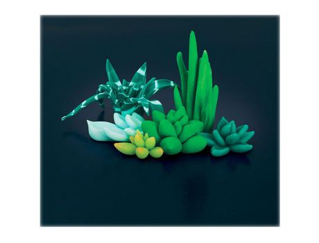Juego FIMO - terrario