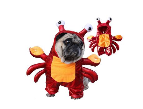Divertido disfraz de cangrejo para mascotas sudadera con capucha para perro disfraz de bulldog disfraz de gato L XIMU