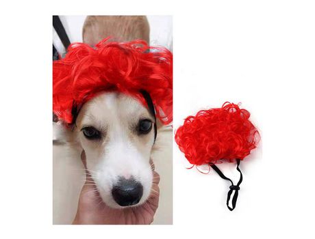 Pelucas para mascotas Productos para mascotas XIMU