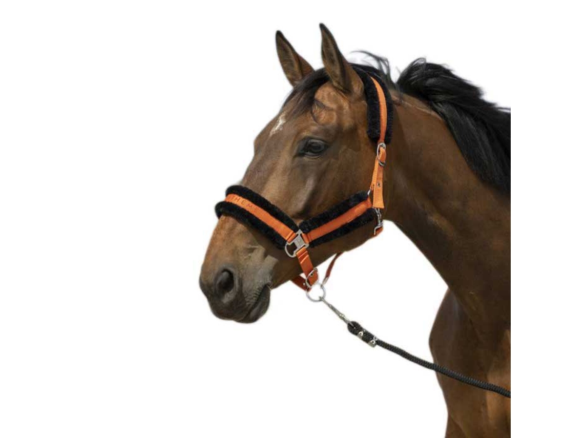 Cabeçada Mouton Nylon Laranja Fullequitheme