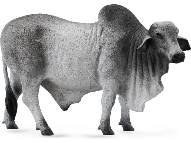 Figura COLLECTA Brahman Toro