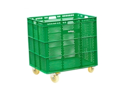 Cesto con Ruedas SPORTS EQUIPE (Verde)
