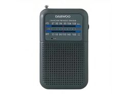 Radio Portátil con Altavoz DW1008