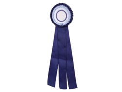 Insignia De Roseta Con Cinta, Medalla De Segundo Lugar, Pequeño Trofeo Elegante Para Los Ganadores.