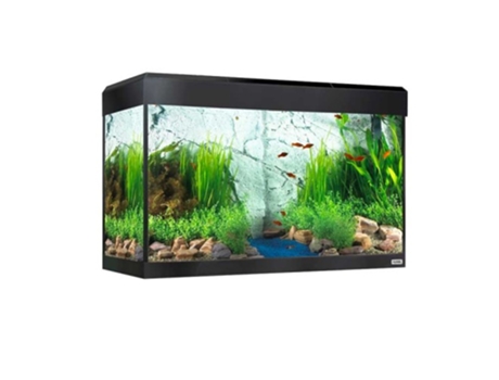 FLUVAL Roma Bluetooth Led Aquário 125L Preto