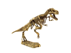 Juguete Educativo Con Modelo De Esqueleto De Dinosaurio Para Niños De 7 A 14 Años 1