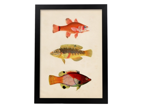 Póster NACNIC de Tres Peces Naranja, Amarillo, Verde y Rojo en , Fondo Papel Vintage.