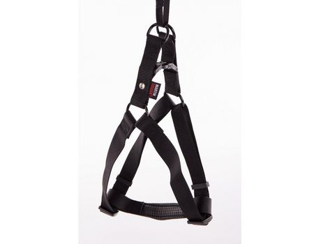 Arnés de perro: un estilo simple y efectivo con la colección Une Nylon de MARTIN SELLIER MARTIN SELLIER Noir 35 à 50 x l. 1.5