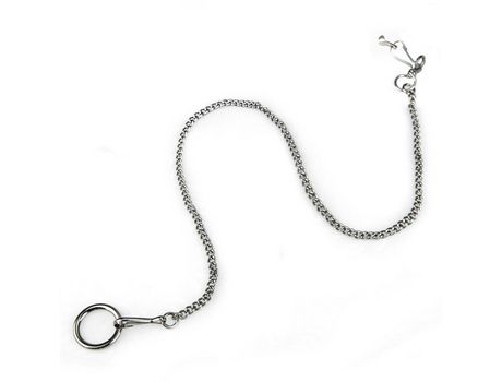 Cadena con anilla para cotorras, longitud 45 c