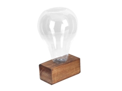 Jarrón hidropónico con luz (1 unidad)
