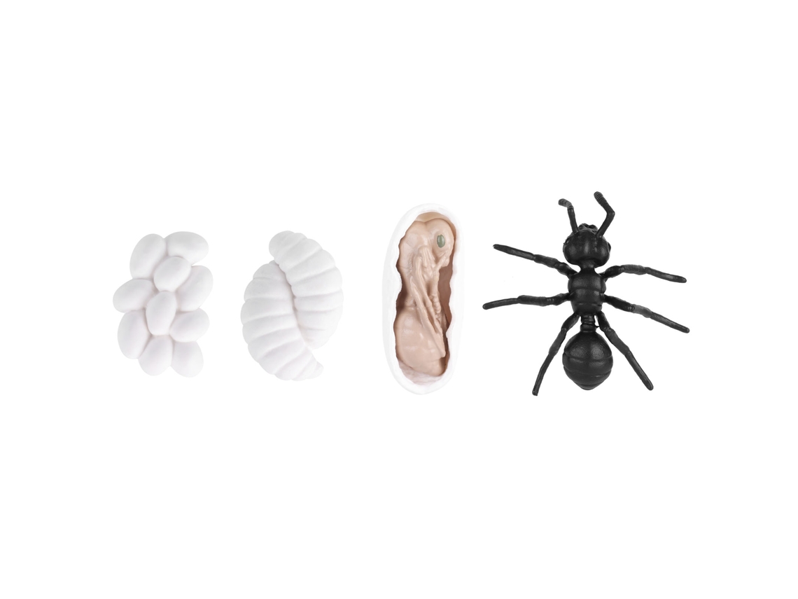 Brinquedo Educativo Ciclo De Vida Inseto Vinil Formiga Mosquito Modelo M4183