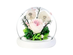 Rosas Eternas Naturales Con Luces Led Para El Día De San Valentín Y Aniversario. Un Regalo Elegante.