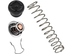 Kit De Regulador Térmico Para Calentador Piscina 77707-0010 Pentair