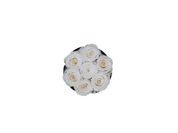 7 rosas naturales preservadas blancas LOVE Flowers en caja redonda negra - Colección Circle Rose