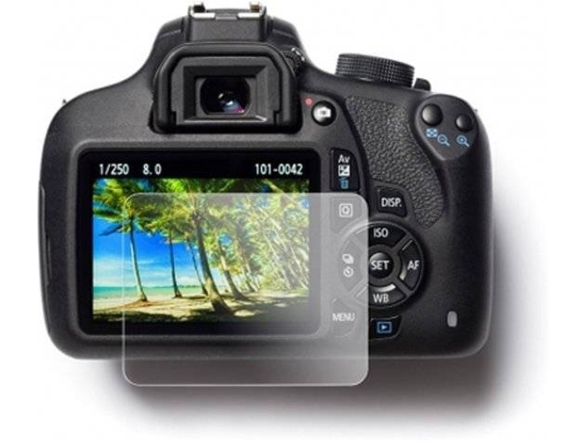 Protector de pantalla cristal templado EASYCOVER Canon 1DX/1DX2