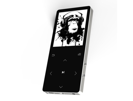 Lector Mp3 SLOWMOOSE Walkman Hifi(Gris 20Gb)