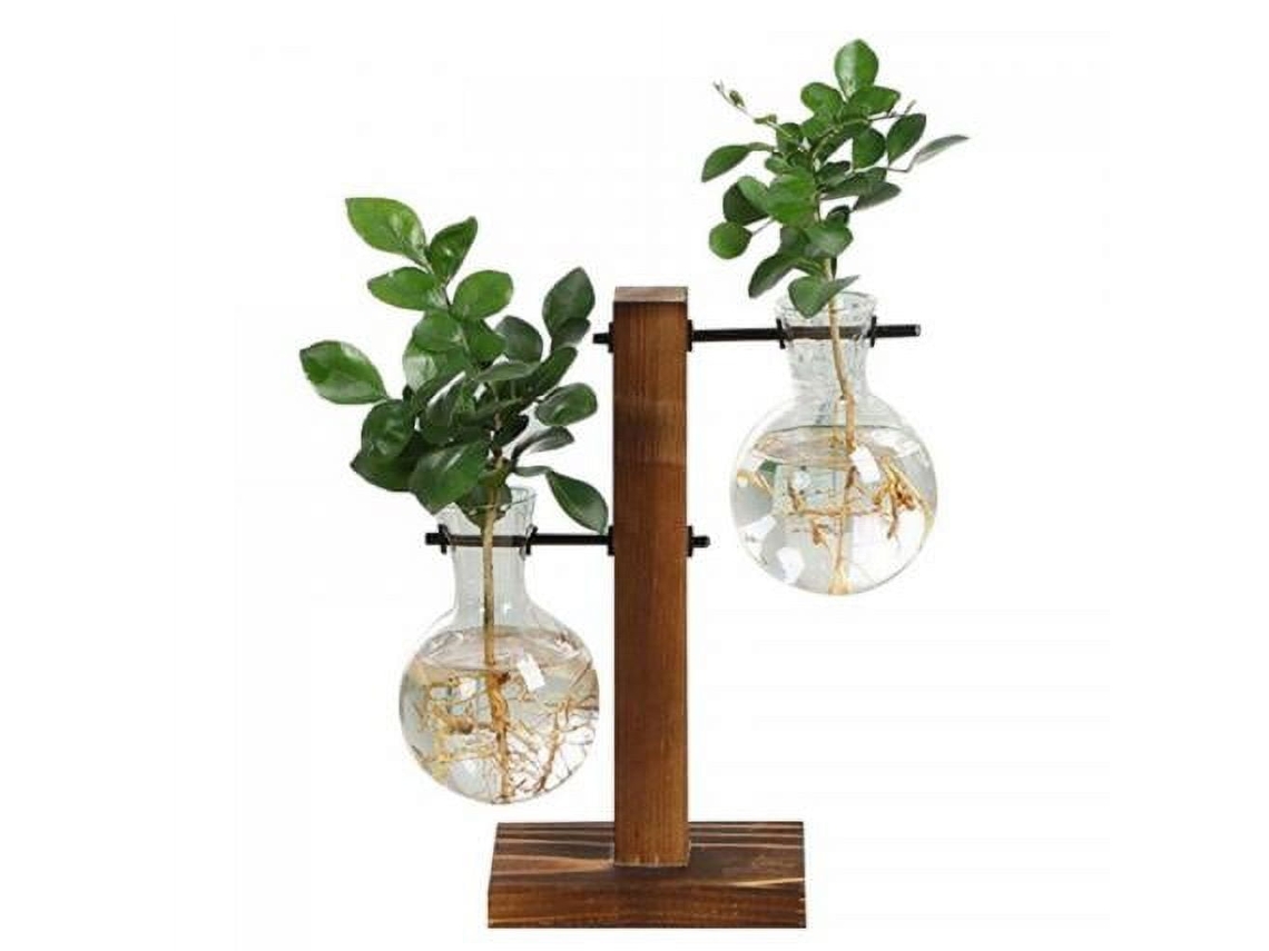 JILLIOPER Estación de Propagación de Plantas Maceta de Vidrio con Vaso para Flores y Soporte de Madera Retro para Decoración Interior, Cocina, Jardín de Mesa, B
