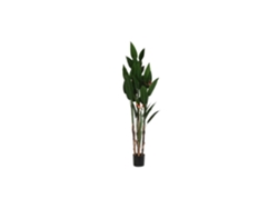 Planta Poliester Pp Ave De Paraiso Verde 90x90x200cm