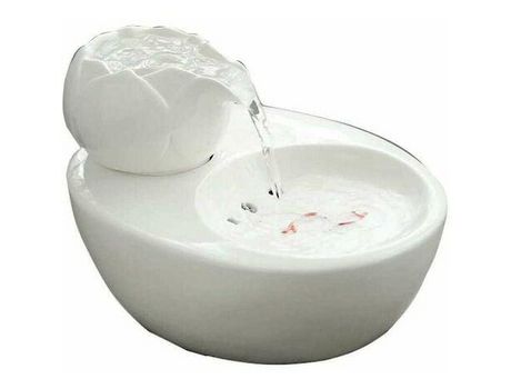 Bebedero Inteligente para Gatos, Con Macetero en Porcelana Blanca, 1,3kg, Estándar Europeo