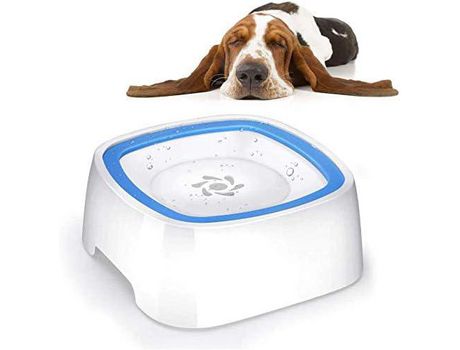 Bebedero Azul Antideslizante para Perros con Protección contra Babeo COZEVDNT