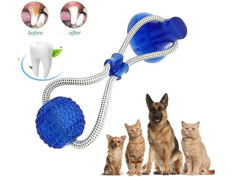Juguete para masticar - Azul
