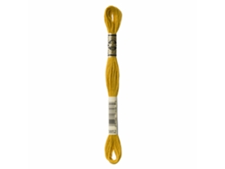 Hilo de Bordar DMC Mouline 117Mc Amarelo Mostarda 3852