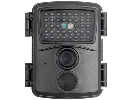 Cámara oculta salvaje de 12 MP 1080P con detección de visión nocturna negra YIZHOOD
