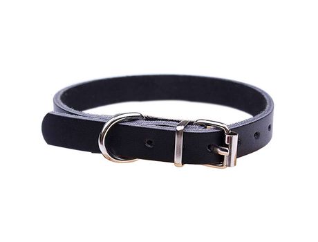 Correa de repuesto para Collar de perro impermeable para mascotas, Collar de choque y cerca, Collar de perro inodoro, fácil de limpiar