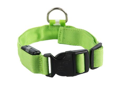 Ilumine las luces del collar de perro para el clip nocturno en el collar de perro LED brillante y de alta visibilidad iluminado