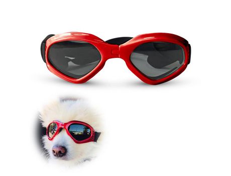 Gafas para perros gafas de sol para perros gafas de sol UV cinturón ajustable protección impermeable para perros ELKUAIE