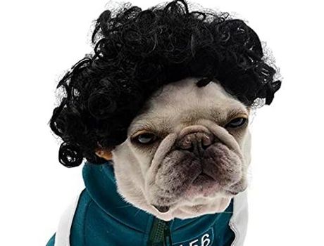 peluca para perros y gatos para Halloween Navidad fiestas festivales pelucas para perros pequeños medianos y grandes. ELKUAIE