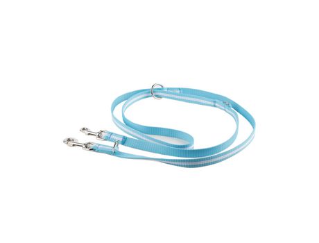 Correa de Entrenamiento JULIUS K9 Agua Marina (14 x 2,2 cm - S)