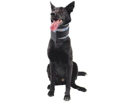 Protector Cervical Para Perros KVP Bite Free (20-64x20 cm)