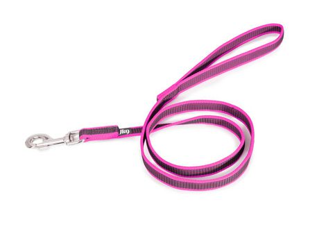 Correa Engomada JULIUS K9 Color&Gray con Asa Rosa (20 mm x 1,2 m - S)