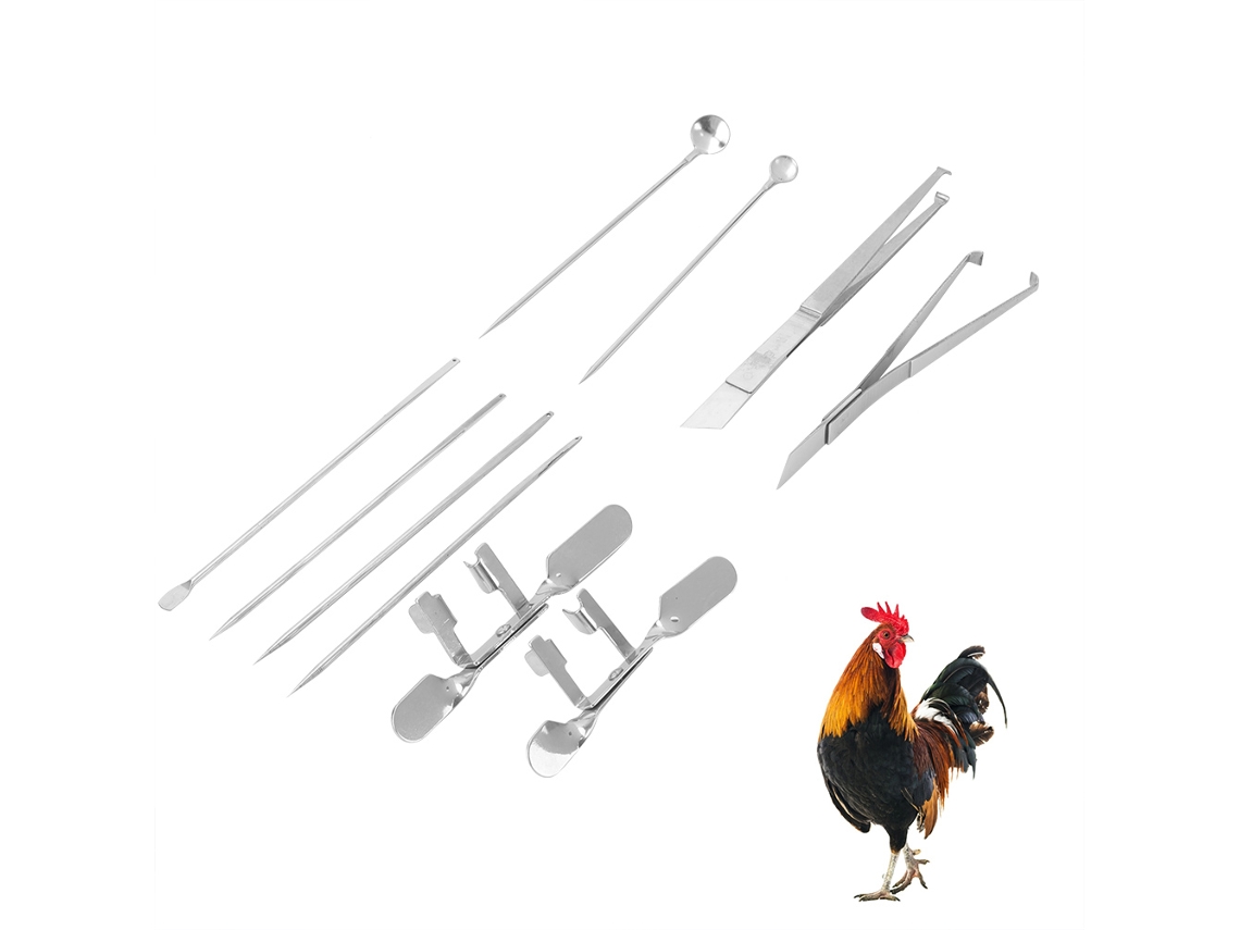 Kit De Herramientas Para Castración De Gallos, 10 Piezas, Acero Inoxidable, Equipo Para Granjas Avícolas.