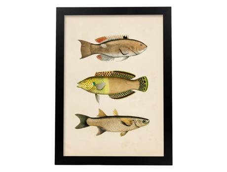 Póster NACNIC de Tres Peces Amarillos, Beige, Verde y Naranja en , Fondo Papel Vintage.