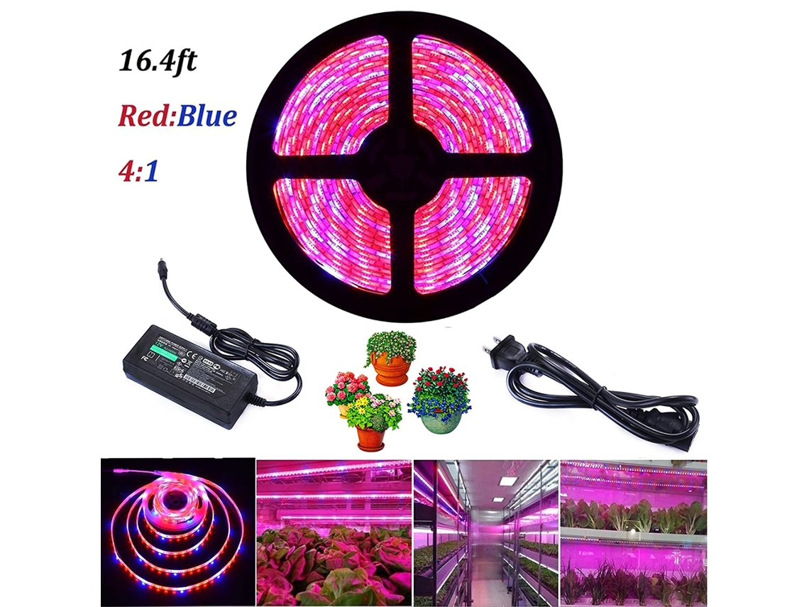 2026-luz Led De Crecimiento Vegetal 300led Impermeable Para Invernadero Plantas Hidropónicas