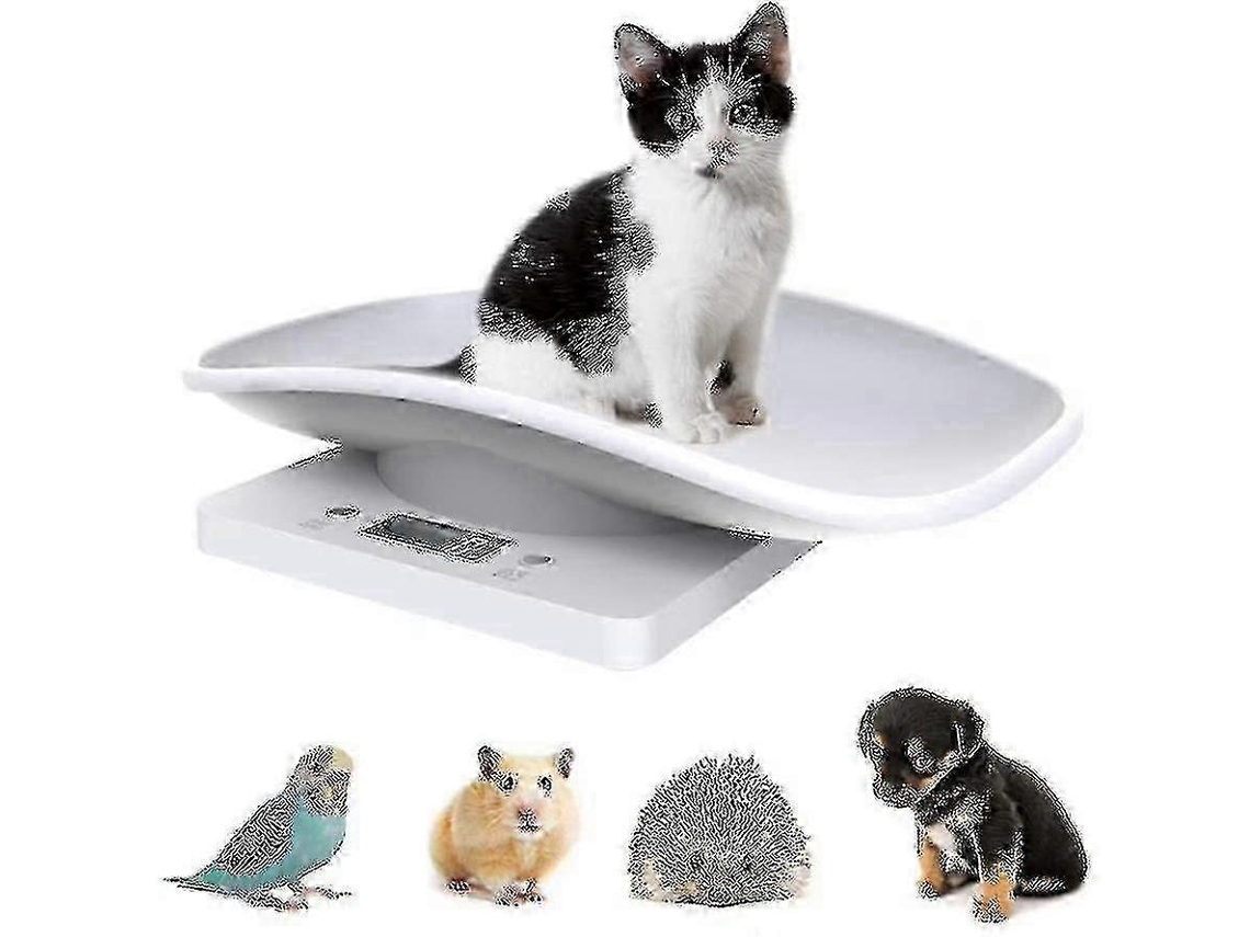 Bandeja Redonda Transparente con Asas para Uso Multiusos en Cocina y Baño, Ideal para Servir Pan, Frutas, Postres y Snacks Otros