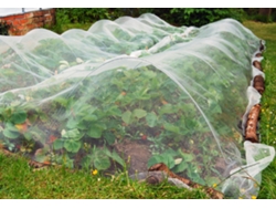 Red antiinsectos de 45g; 4 x 20m MAILLE STORE