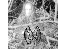 Miedo - Fantasmasis [cd] 2025 [Edición limitada]