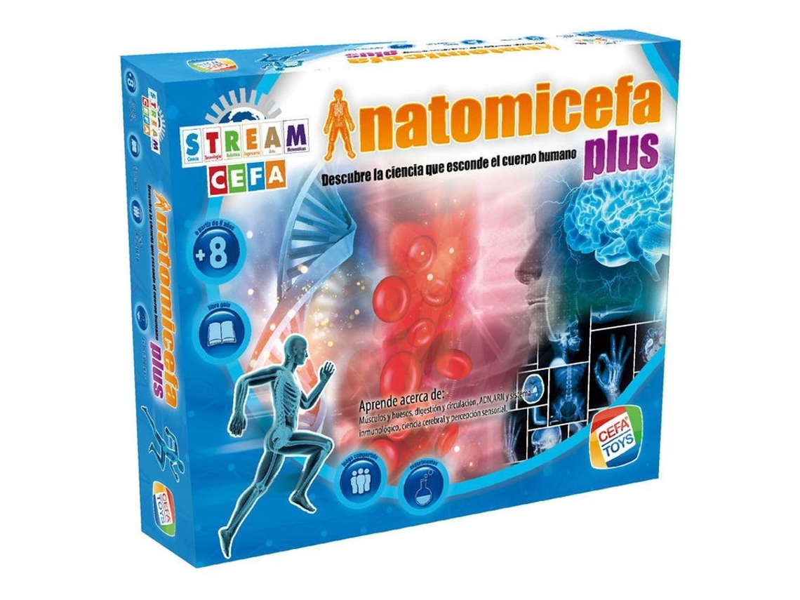 Anatomicefa Plus Juego Educativo Ciencia Para El Cuerpo Humano 21855 P22